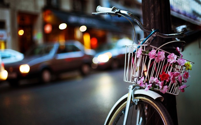 flower bike-Best HD Wallpaper Views:8869 Date:2013/10/23 11:04:50