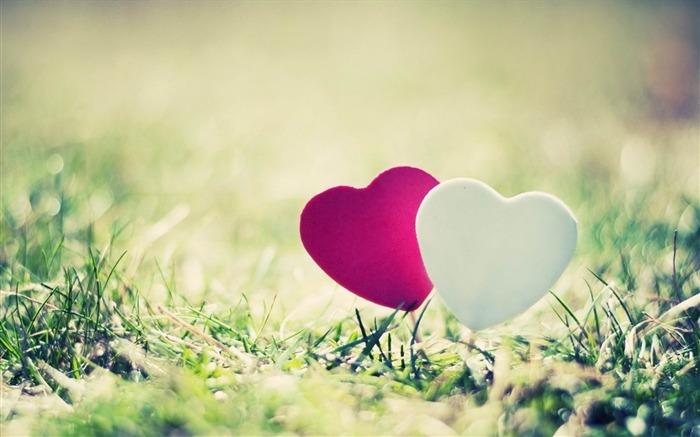 heart grass couple close-up-Romantic HD Wallpaper Views:19394 Date:2013/10/27 8:23:33