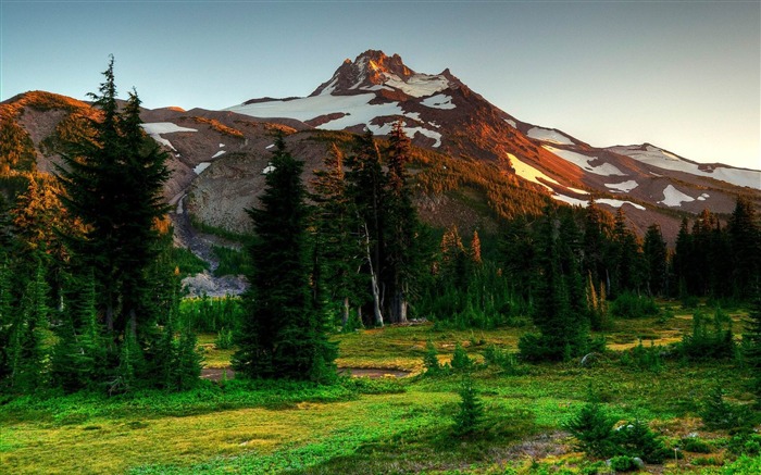 montagnes arbres manger nature-Nature HD Fond d'écran Vues:10944