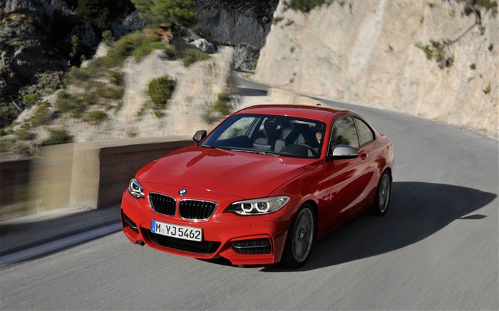 2014 BMW M235i Coupe Car HD Wallpaper 01 Views:7577 Date:2013/11/1 9:46:50