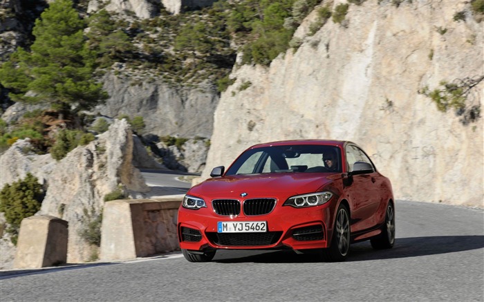 2014 BMW M235i Coupe Car HD Wallpaper 03 Views:8508 Date:2013/11/1 9:47:42