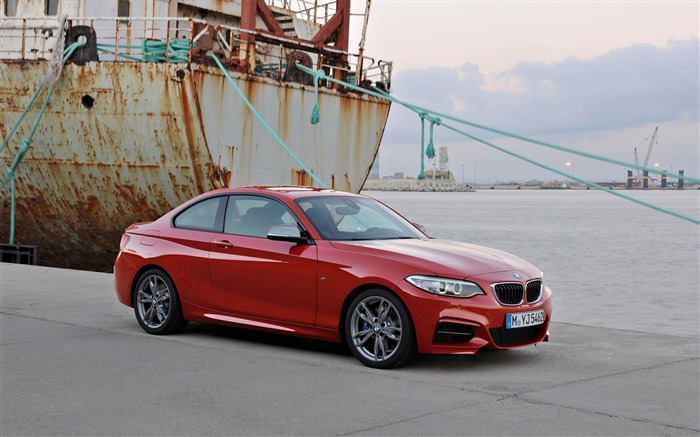 2014 BMW M235i Coupe Car HD Wallpaper 07 Views:8231 Date:2013/11/1 9:49:27