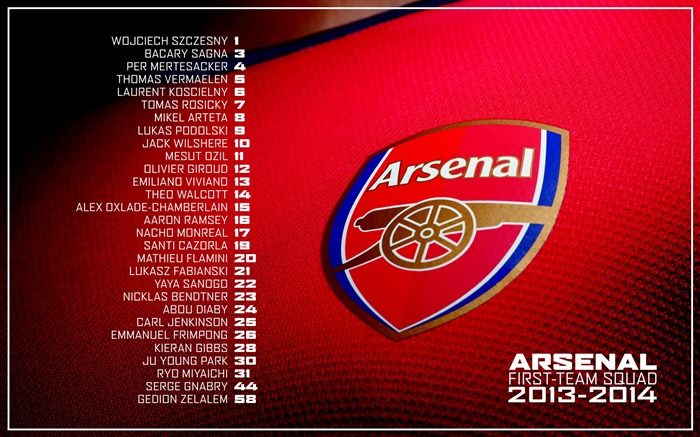 Escuadrón Arsenal First Team -2013-2014 fondo de pantalla Vistas:9974