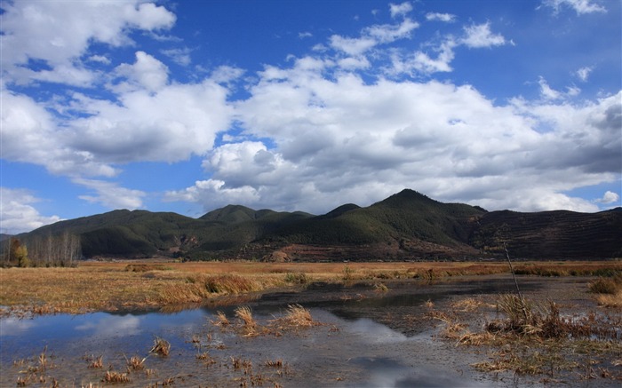 美しい中国鹿谷湖の風景壁紙 ブラウズ:7889