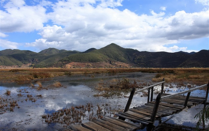 美しい中国鹿谷湖の風景壁紙 ブラウズ:7205