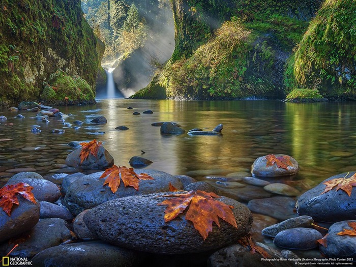 Papéis de Parede Mundial Mullings Mornings-National Geographic Visualizações:7896