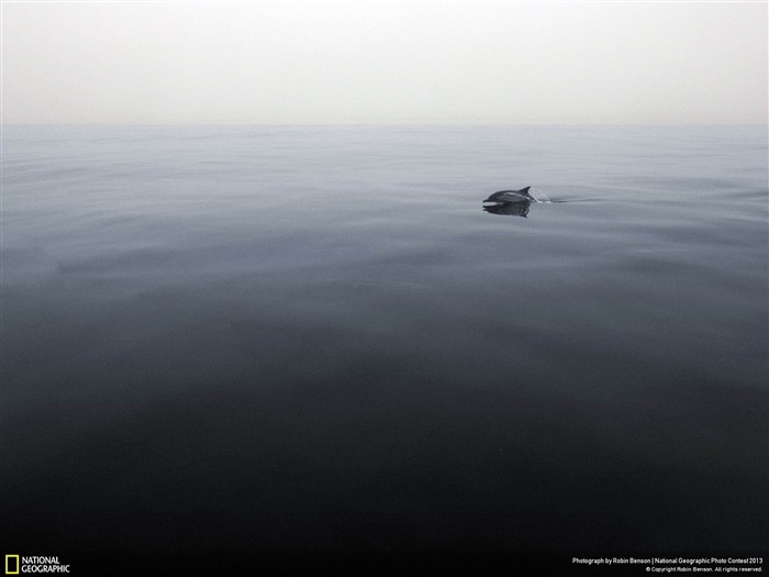 The Guardian-National Geographic fond d'écran Vues:6900