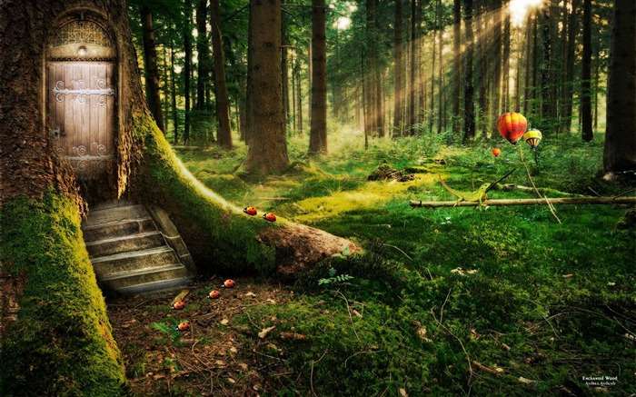 enchanted forest-Design HD Wallpaper Views:29736 Date:2013/11/18 8:47:07