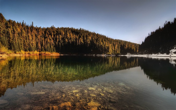 floresta lago reflexão-paisagem HD Wallpaper Visualizações:10019