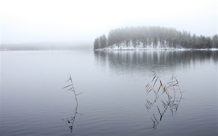 lac ciel de brouillard rivière-Paysage Fond d'écran Vues:8708