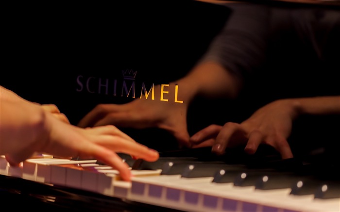 Piano Schimmel-Música HD Wallpaper Visualizações:10836