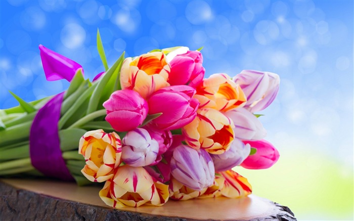 tulips leaves flower-Photos HD Wallpaper Views:10224 Date:2013/11/5 7:49:08