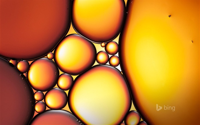 Bubble-November 2013 Bing wallpaper Visualizações:6949