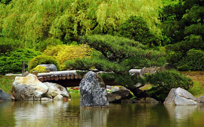 河流小桥松树-摄影高清壁纸 浏览:9496