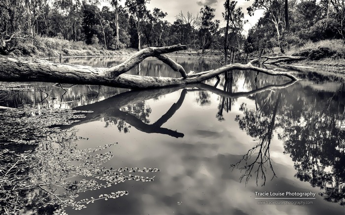 Queensland Australie Windows 8 Fond d'écran HD 10 Vues:8138