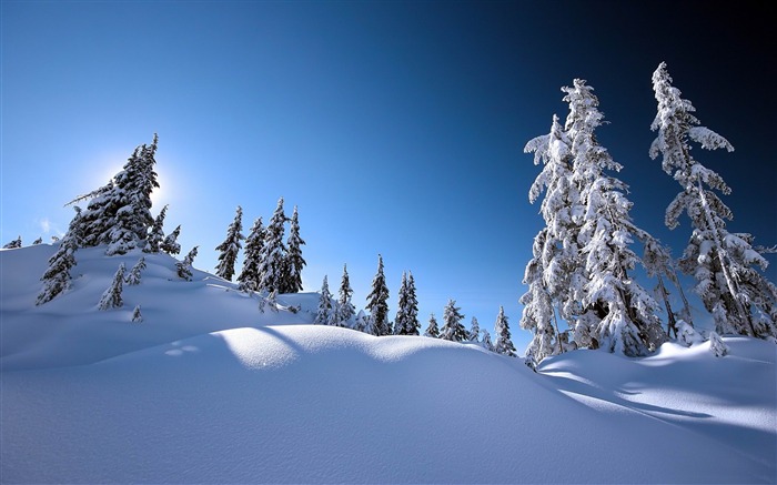 bel hiver-Paysage HD Fond d'écran Vues:21285