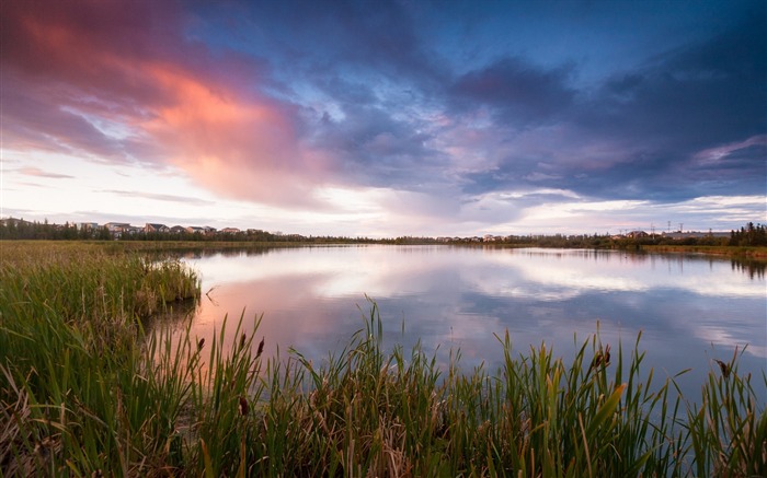 canada lac des roseaux d'herbe-Paysage HD Fonds d'écran Vues:9119