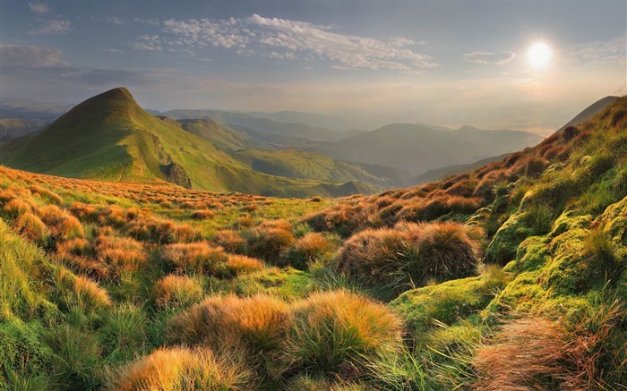 grama montanhas à noite-cenário HD Wallpaper Visualizações:9206