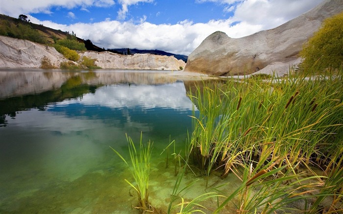 lake canes stones water summer-Photography HD Wallpaper Views:7337 Date:2013/12/15 0:46:14