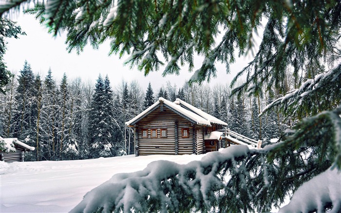 Froid HD de neige en hiver Fond d'écran Vues:46650