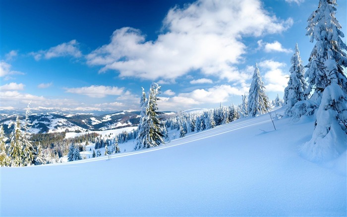 pente de la montagne-Paysage HD Fond d'écran Vues:10848