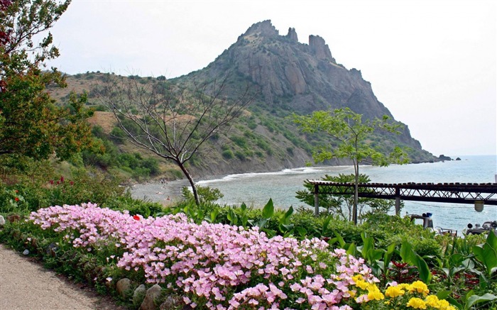 산 바다 꽃 - 계절의 HD 월페이퍼 찾아보기 :10562