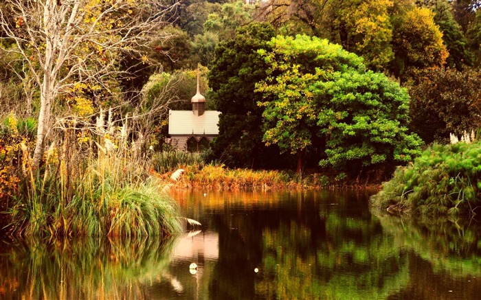 Árvores de outono de lagoa-Cenário HD Wallpaper Visualizações:8865