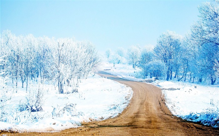 chemin de neige-Paysage HD Fond d'écran Vues:11019