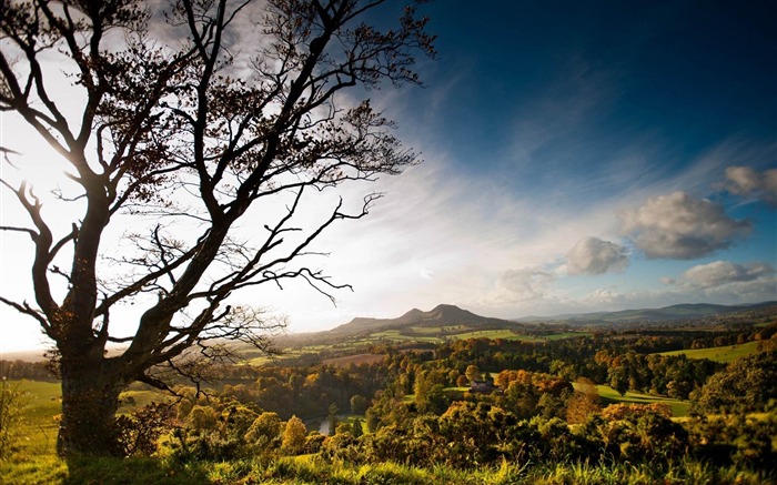 Árvores vista superior verão-Cenário HD Wallpaper Visualizações:7745