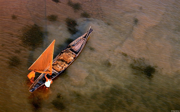 Bangladesh Sylhet pescador-Windows fondo de pantalla Vistas:9230