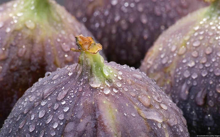 figues gouttelettes-Windows Fond d'écran Vues:10132