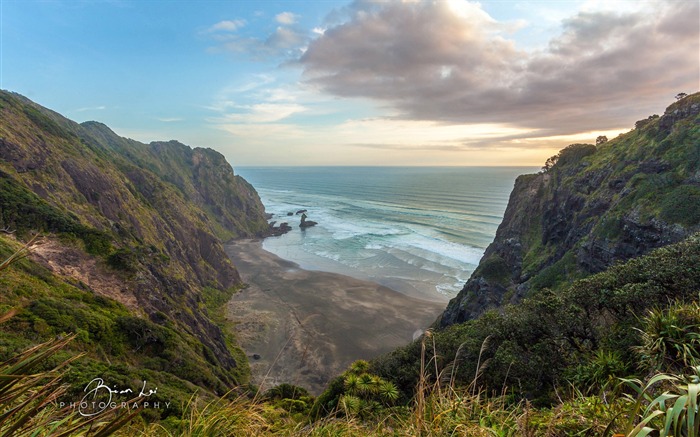 Beau décor naturel de New Zealand Nord Fond d'écran Vues:7882