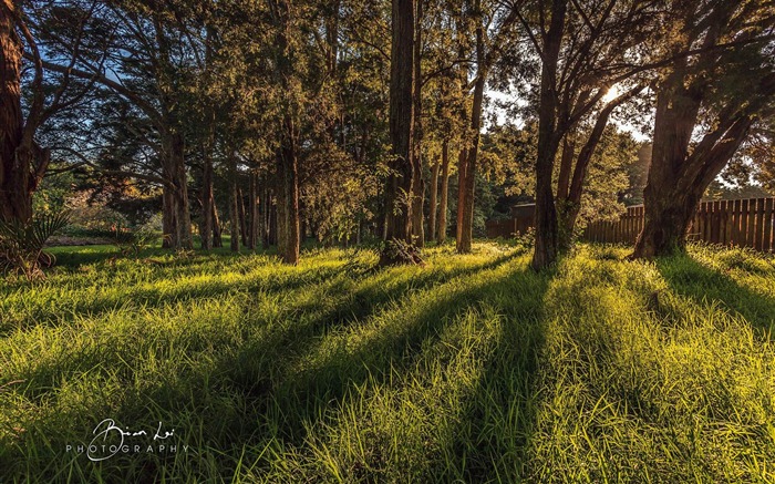 Landscape New Zealand North Island Wallpaper 03 Views:7665 Date:2014/2/10 8:09:44