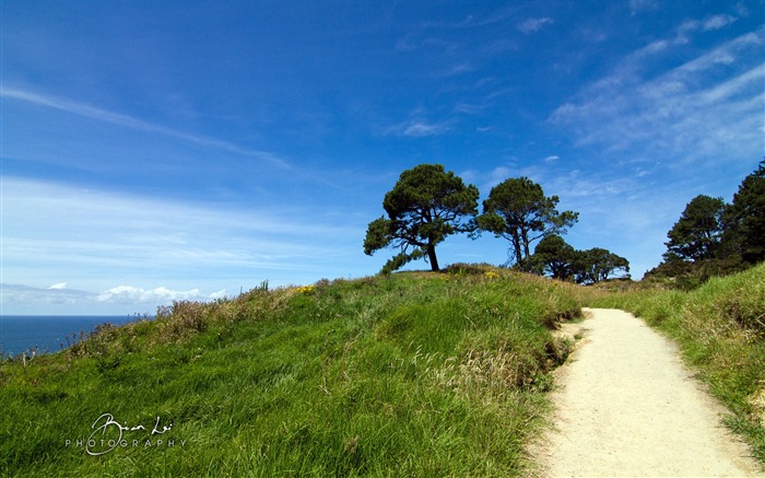 Landscape New Zealand North Island Wallpaper 13 Views:8595 Date:2014/2/10 8:17:37