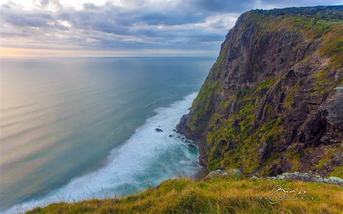 Beau décor naturel de New Zealand Nord Fond d'écran Vues:6695