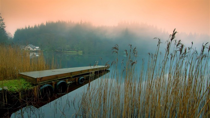 pier fog grass lake-Photo Wallpaper Views:8842 Date:2014/2/8 9:06:24