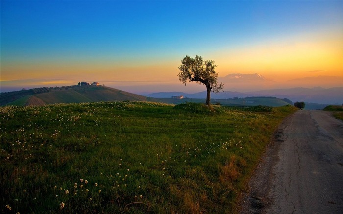 campo de estrada verão liso-Foto HD Wallpaper Visualizações:10139