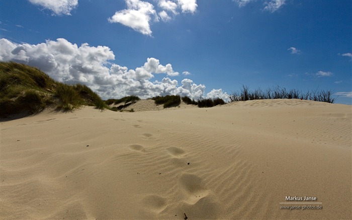 Alemania Spiekeroog island scenery wallpaper 08 Vistas:7654