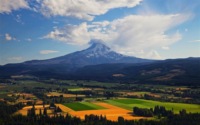 Mount Hood Oregon-Naturaleza fondo de pantalla HD Vistas:9557