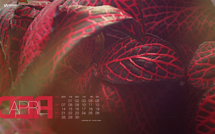 Red April-April 2014 calendar wallpaper Views:6480 Date:2014/3/31 18:37:05