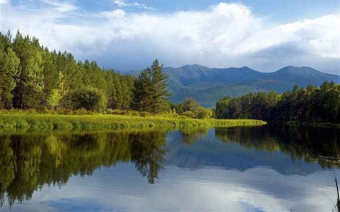 Sibérie lac arbres de la côte-Nature Fond d'écran Vues:9192