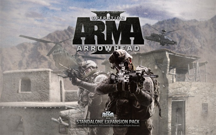 ARMA II Games Fondos de Escritorio 01 Vistas:8471