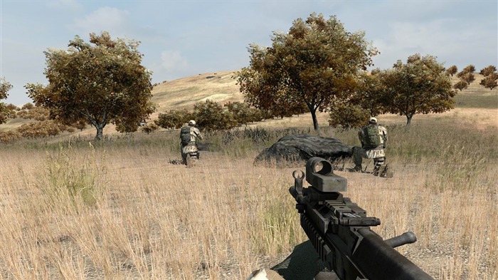 ARMA II Games Fondos de Escritorio 12 Vistas:8891