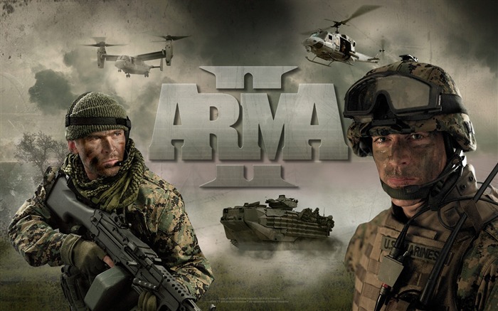 ARMA II Games Fondos de Escritorio 17 Vistas:6750