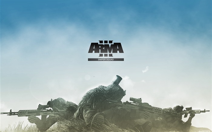 ARMA II Games Fondos de Escritorio 18 Vistas:7100