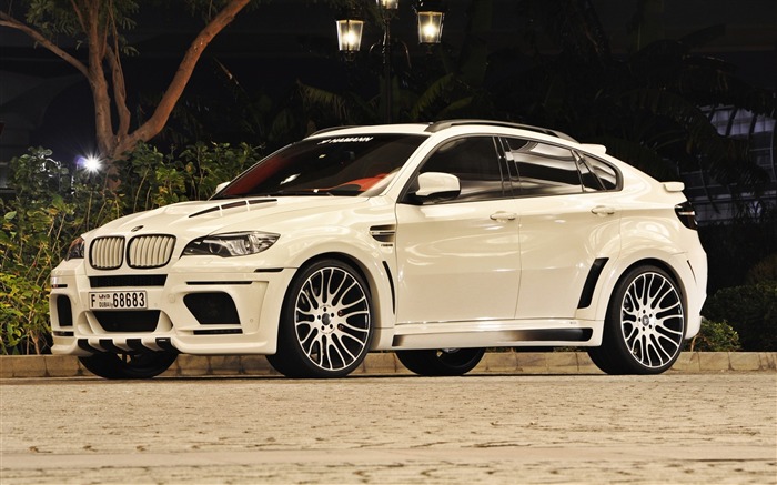 BMW x6m hamann-Car HD wallpaper Views:9537 Date:2014/4/26 20:17:47