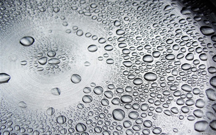 Droplets on a silver surface-Windows Photo Wallpaper Views:8266 Date:2014/4/23 8:22:46