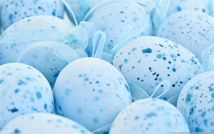 Egg blue spots-Windows Photo Wallpaper Views:8512 Date:2014/4/23 8:13:22