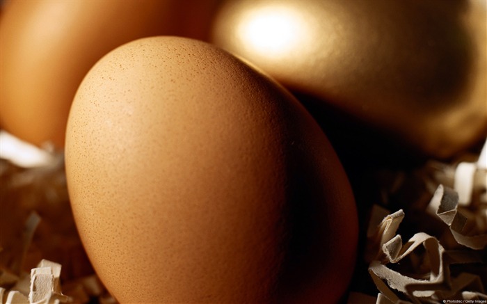 Golden Egg-Windows Photo Wallpaper Views:8387 Date:2014/4/23 8:12:06