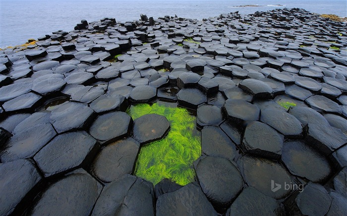 Hexagonal rocks-Bing wallpaper Views:12898 Date:2014/4/2 10:23:11